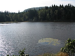 Jedlovské rybníky