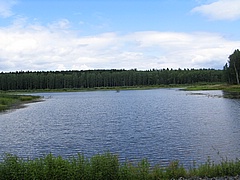 Karlovské rybníky